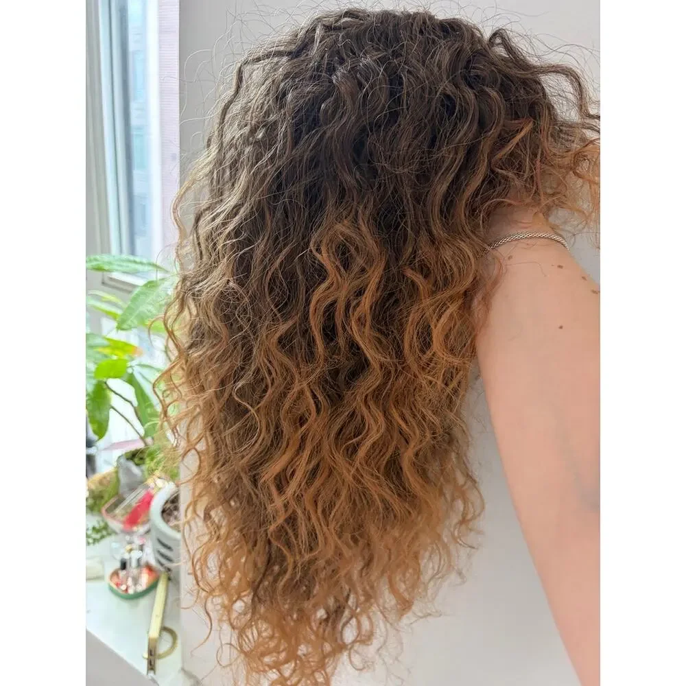 NEW Women's Brown Ombre Curly Wig with Bangs